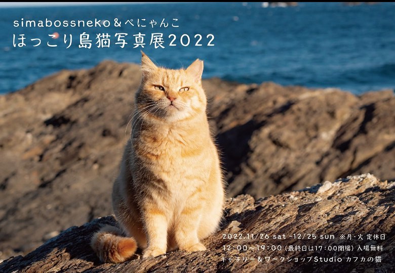 《写真展のお知らせ》表参道のギャラリー『カフカの猫』にて、simabossneko＆ぺにゃんこ「ほっこり島猫写真展2022」を開催します！☆特別イベント②☆〜あなたの自慢の猫写真を大募集！〜写真展の開催期間中、みにゃさま自慢の猫写真も一緒に展示いたします。ぜひふるってご応募ください！■Instagramでの写真応募期間2022年10月8日(土)〜11月13日(日)まで■応募方法① 写真展を開催するギャラリー『カフカの猫（ @kafka.no.neko ）』をフォロー。② ハッシュタグ「#ほっこり島猫写真展カフカの猫」をつけて、Instagramにご投稿ください。※複数応募可能です。※応募多数となった場合は、こちらでお写真を選ばせていただきます。■展示点数　200枚2Lサイズにて展示いたします。（展示写真には、Instagramアカウント名を記載いたします。）★ 200枚の展示写真は、11月26日〜12月25日の期間内にsimabossnekoのストーリーでもご紹介いたします。☆ 11月26日〜12月25日の会期中は、お写真の持ち込みもOK［注意点］・持ち込み写真のサイズは、L版または2Lサイズに限ります。・写真は、お一人様1枚でお願いいたします。・月・火は定休日のため、お受け取りできません。・お持ち込みいただいた写真は返却いたしかねます。何卒ご了承くださいませ。・【Notice】We will have a photo exhibition.Title: Hokkori Shimaneko photo exhibition 2022The photo exhibition will be held from November 26th to December 25th 2022open 12:00- close 19:00(Close at 17:00 on the last day)●LocationGallery kafka no neko ( @kafka.no.neko )3-6-19 Jingumae, Shibuya-Ku, Tokyo, Japan・●AccessTokyo Metro：6 minite on foot from exit of Omotesando Station.・We are looking forward to seeing you.●日時：2022/11/26(土)〜12/25(日)12：00〜19：00（最終日 17:00まで）※定休日：月・火●場所：カフカの猫東京都渋谷区神宮前3丁目6-19東京メトロ表参道駅より徒歩6分◆simabossneko、ぺにゃんこ在廊日：12/9〜11,  12/22〜25◆入場無料☆特別イベント①☆simabossnekoトークショー◎ 12/10(土) 14:00〜◎ 12/22(木) 14:00〜参加費：1,500円◎ 12/22(木) 16:00〜春風亭百栄師匠 落語会参加費：2,000円※どちらも事前予約制※定員になり次第、受付終了となります。★トークショー、落語会のご予約・お問い合わせはカフカの猫 @kafka.no.neko インスタグラムのダイレクトメッセージ(DM)まで